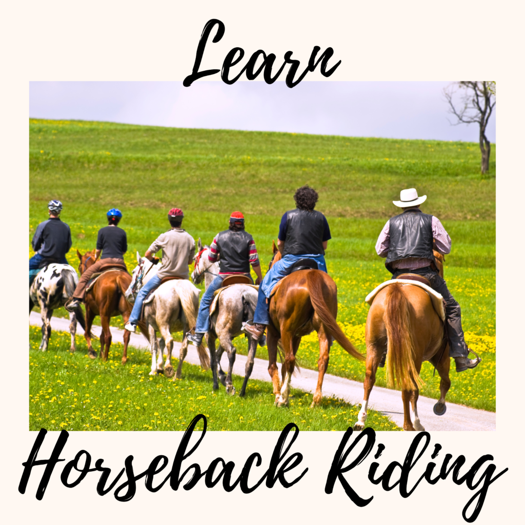 Learn Horseback Riding