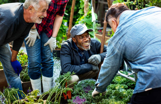 An older caucasian man and an older black man enjoying a gardening class together with their group of seniors.
